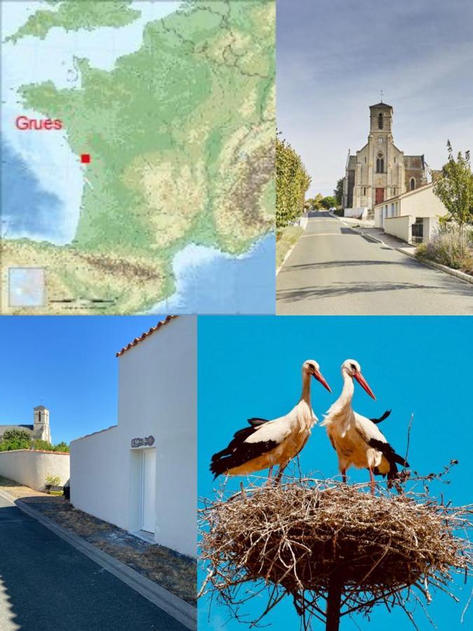 Galta Des Matrus Appartement Cosy 8Kms De L Ocean Grues Exteriér fotografie